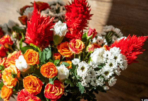 A Bouquet of flowers